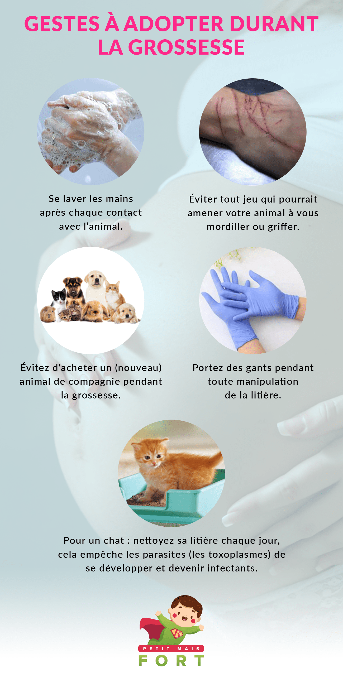 animal de compagnie durant la grossesse